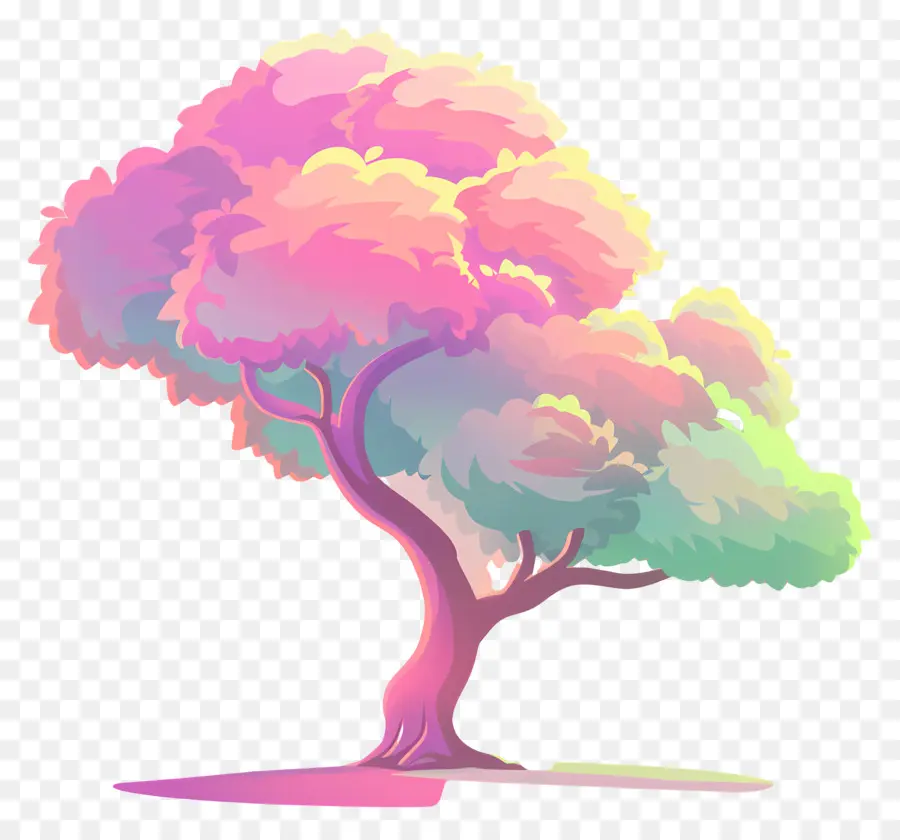 árbol，árbol Colorido PNG