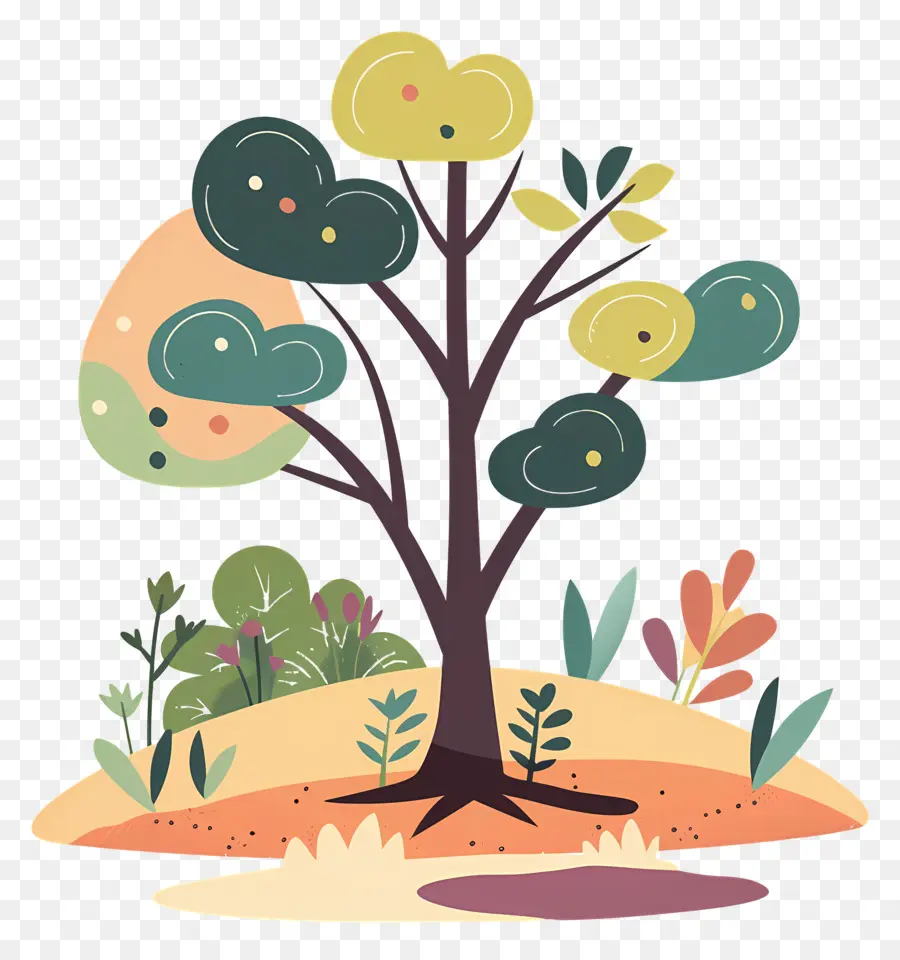 árbol，Árbol PNG