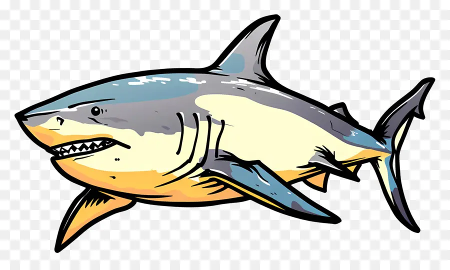 Tiburón Toro，Tiburón PNG