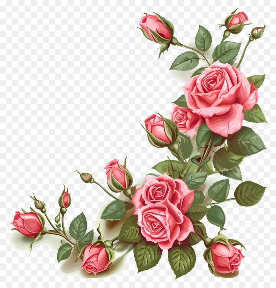 Rosas Del Jardín，Rosas De Color Rosa PNG