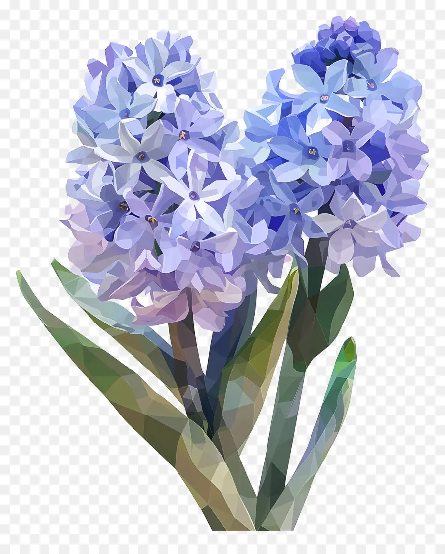 Digital De La Flor，Jacintos Azules PNG