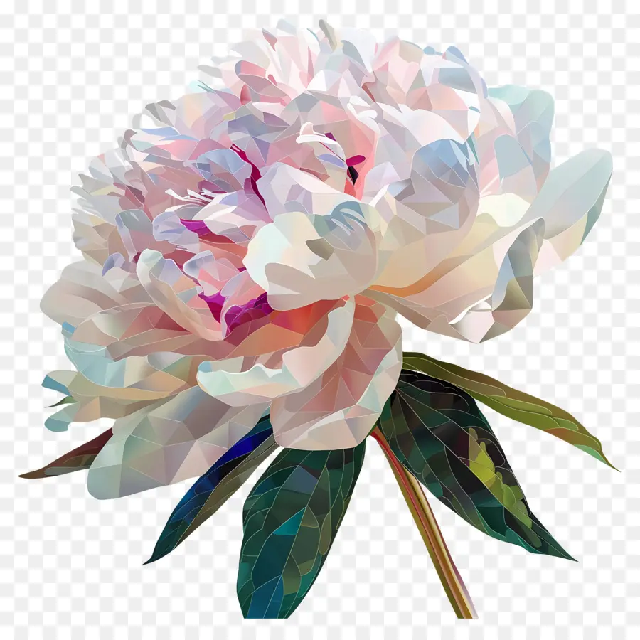 Arte Digital，Flor Colorida PNG