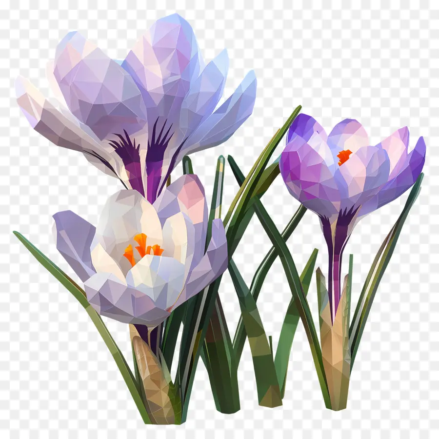Digital De La Flor，Azafranes De Color Púrpura PNG