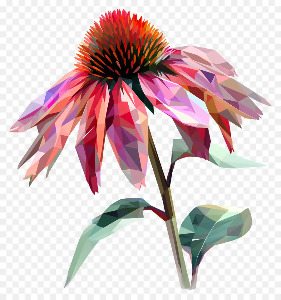 Digital De La Flor，La Flor De Pascua PNG