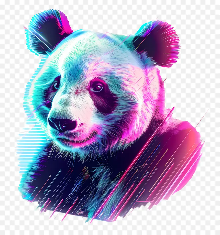 Panda De Onda De Vapor，Panda Colorido PNG