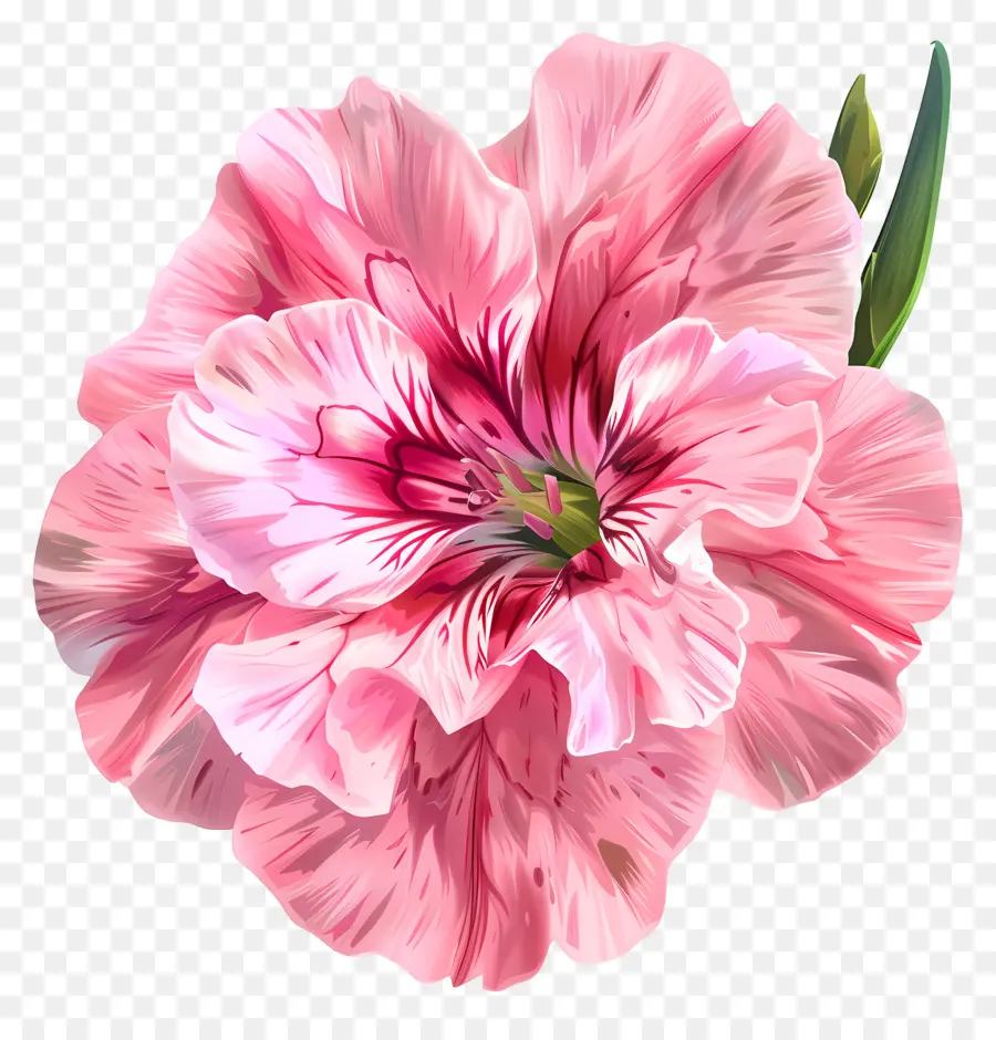 Arte De Flores Digital，Flor Rosa PNG