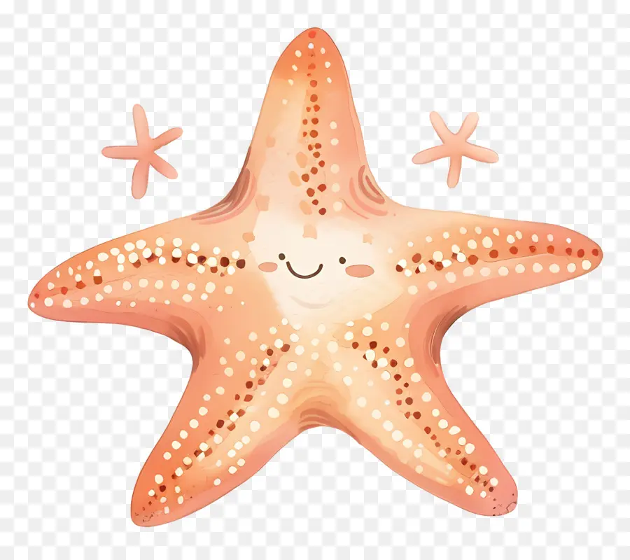 Linda Estrella De Mar，Estrella De Mar Sonriente PNG