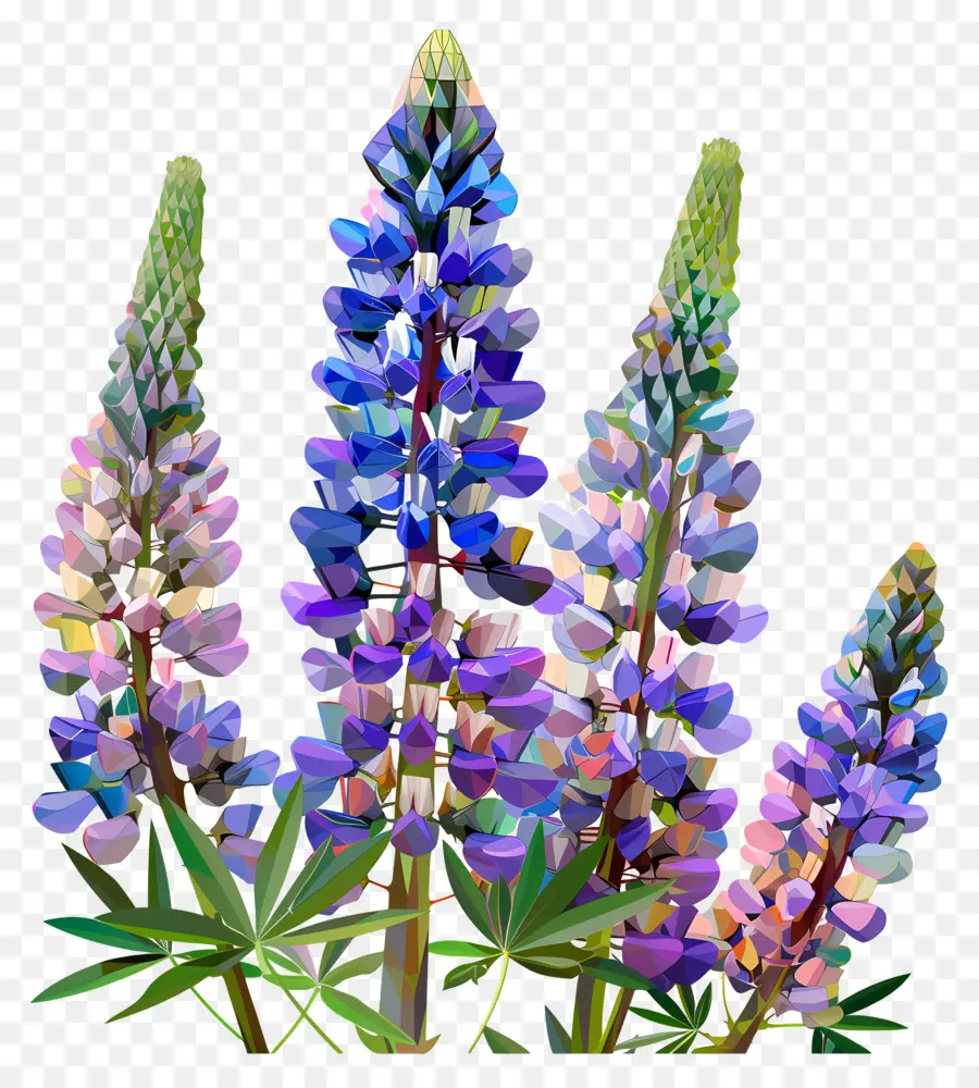 Arte De Flores Digital，Flores De Lupino PNG