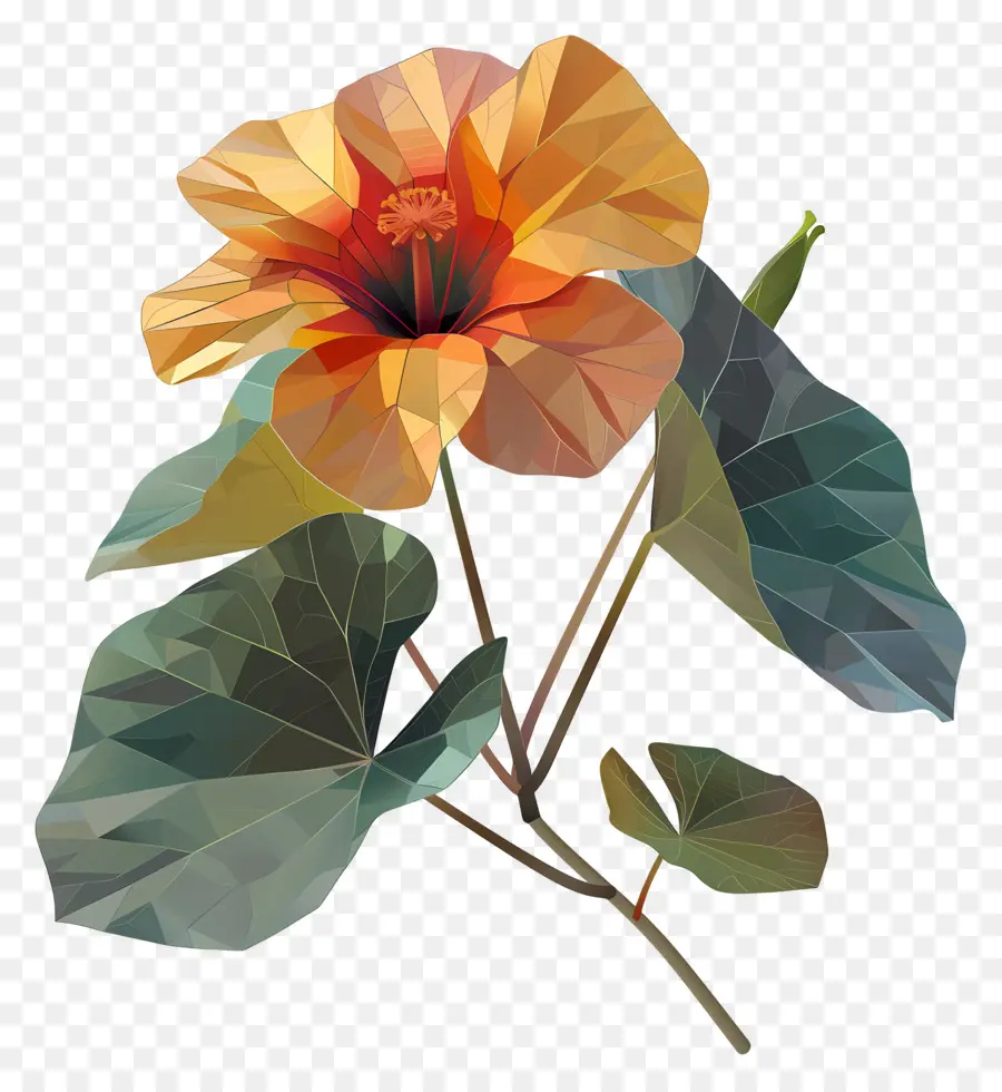 Arte Digital，Flores Naranjas PNG