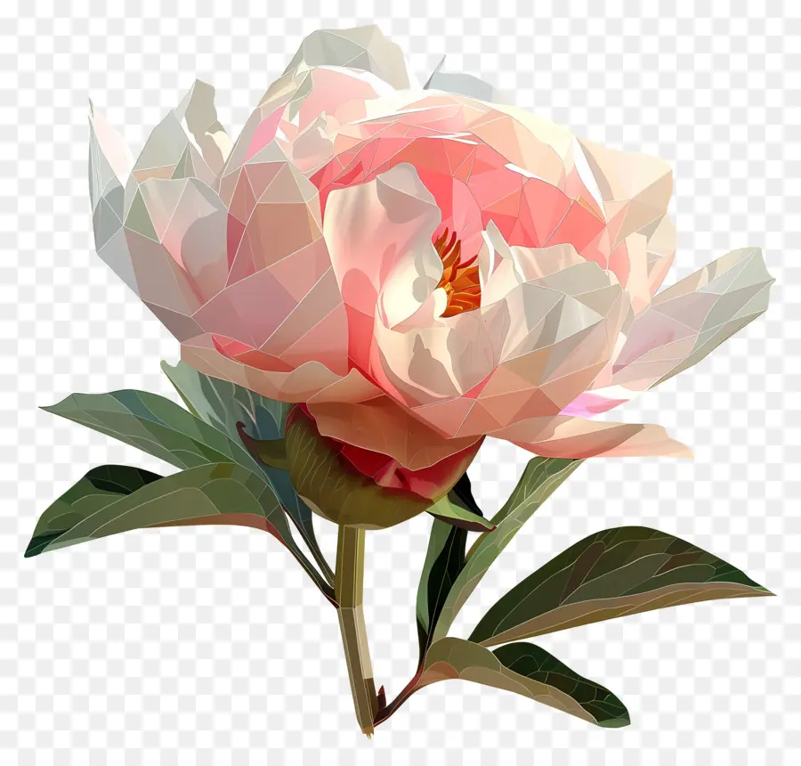 Arte Digital，Flor PNG