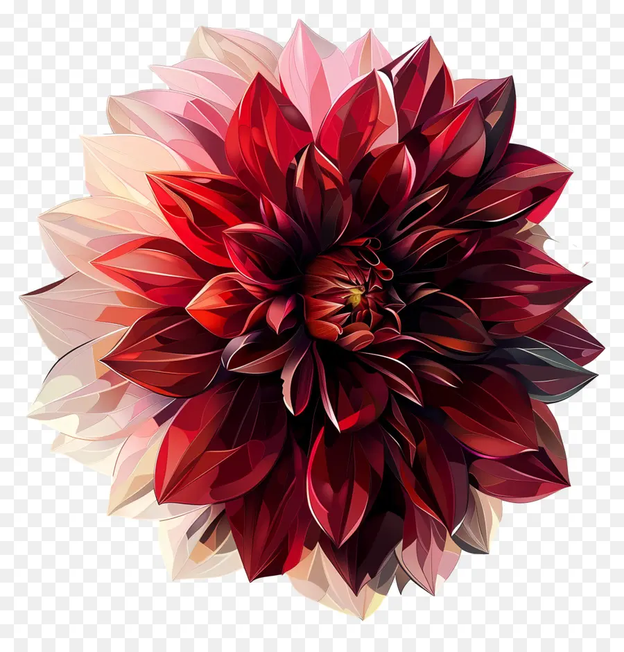 Arte Digital，Flor Roja PNG