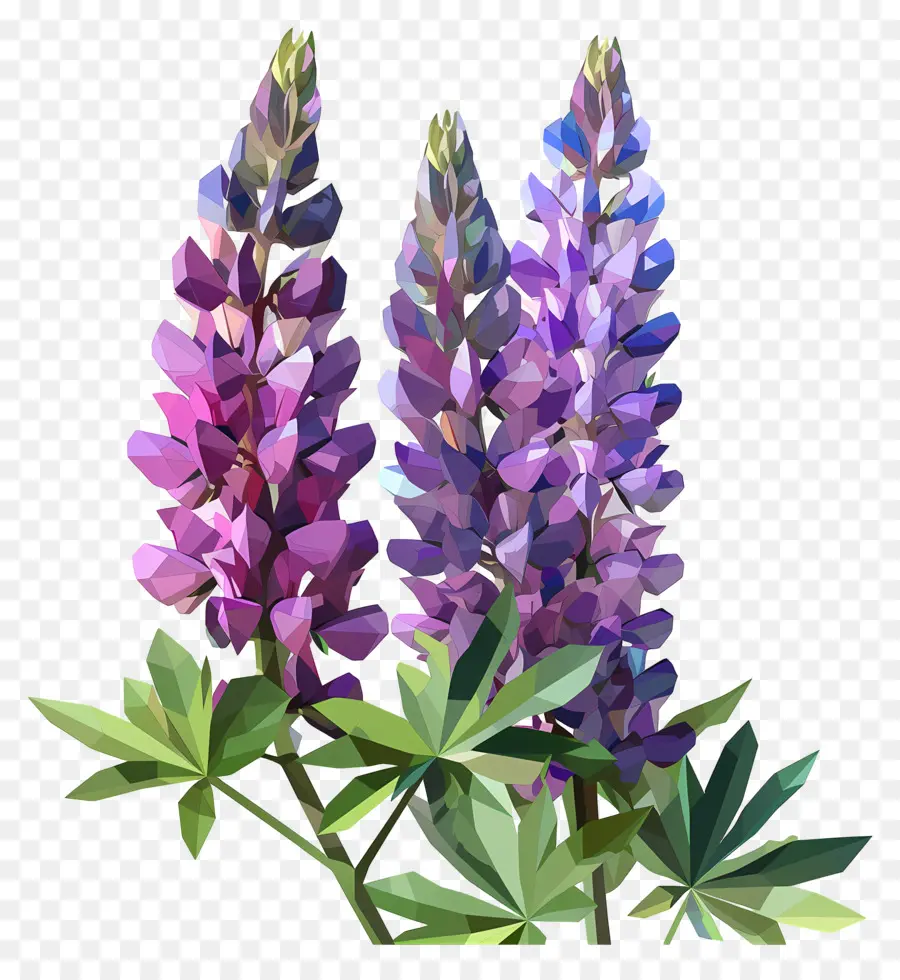 Arte De Flores Digital，Lilas Moradas PNG