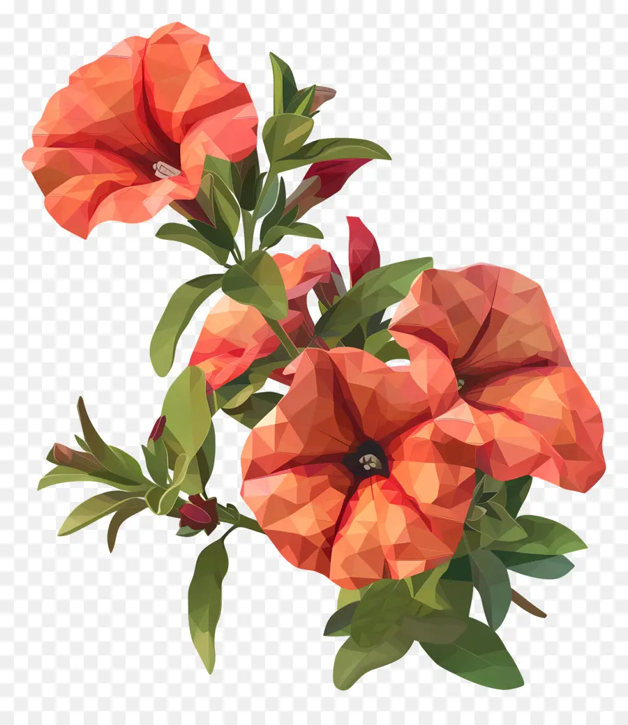 Digital De La Flor，Flores De Color Naranja PNG