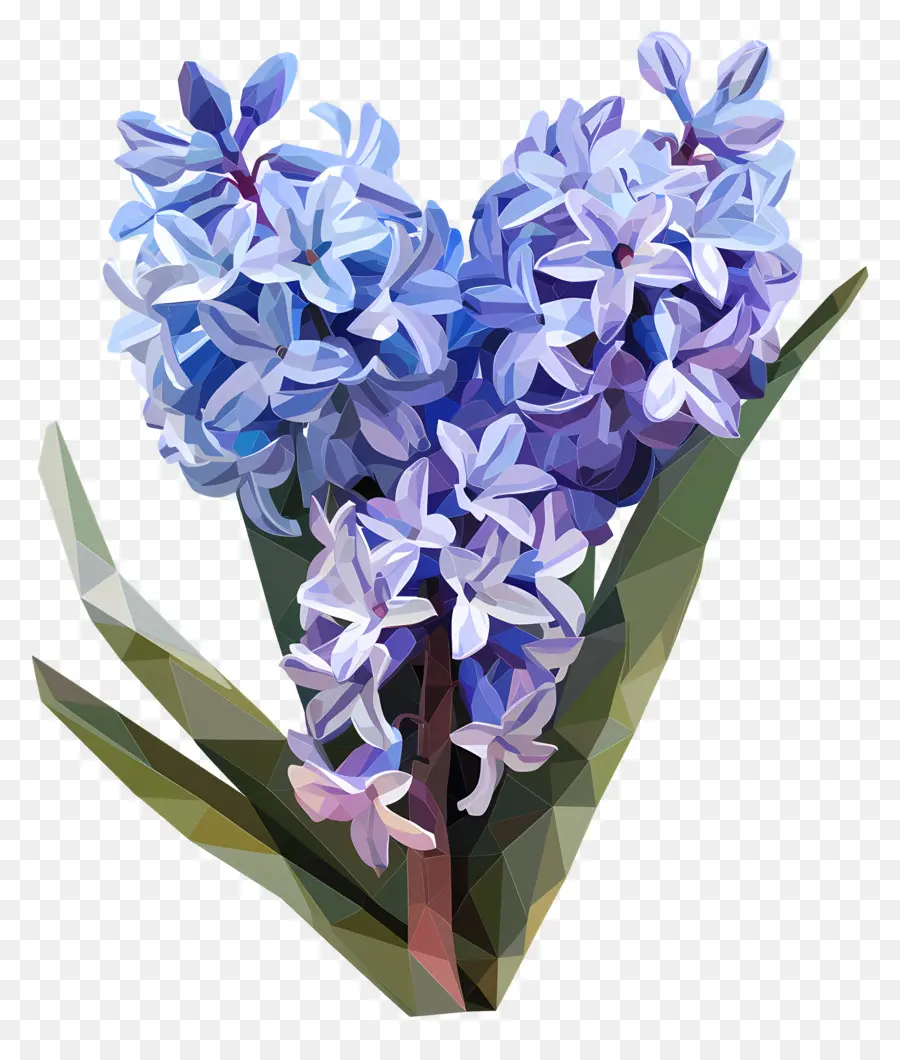 Digital De La Flor，Flores De Jacinto Azul PNG