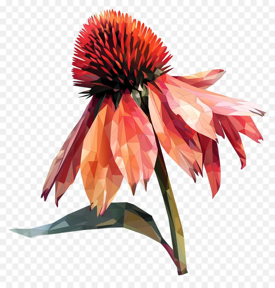 Digital De La Flor，Flor PNG