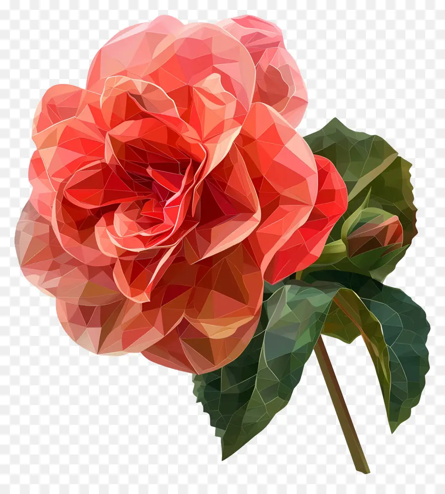 Digital De La Flor，Rosa Roja PNG