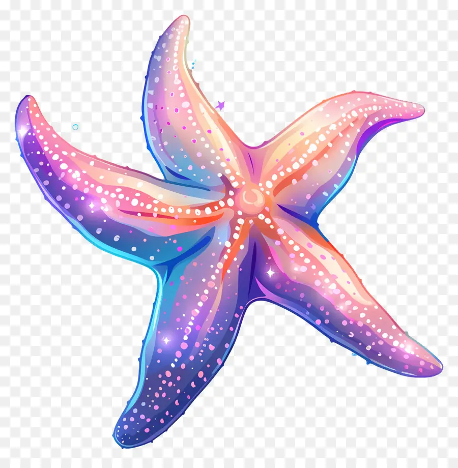 Linda Estrella De Mar，Estrella De Mar Colorida PNG