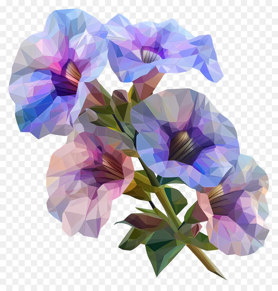 Digital De La Flor，Gladiolo PNG