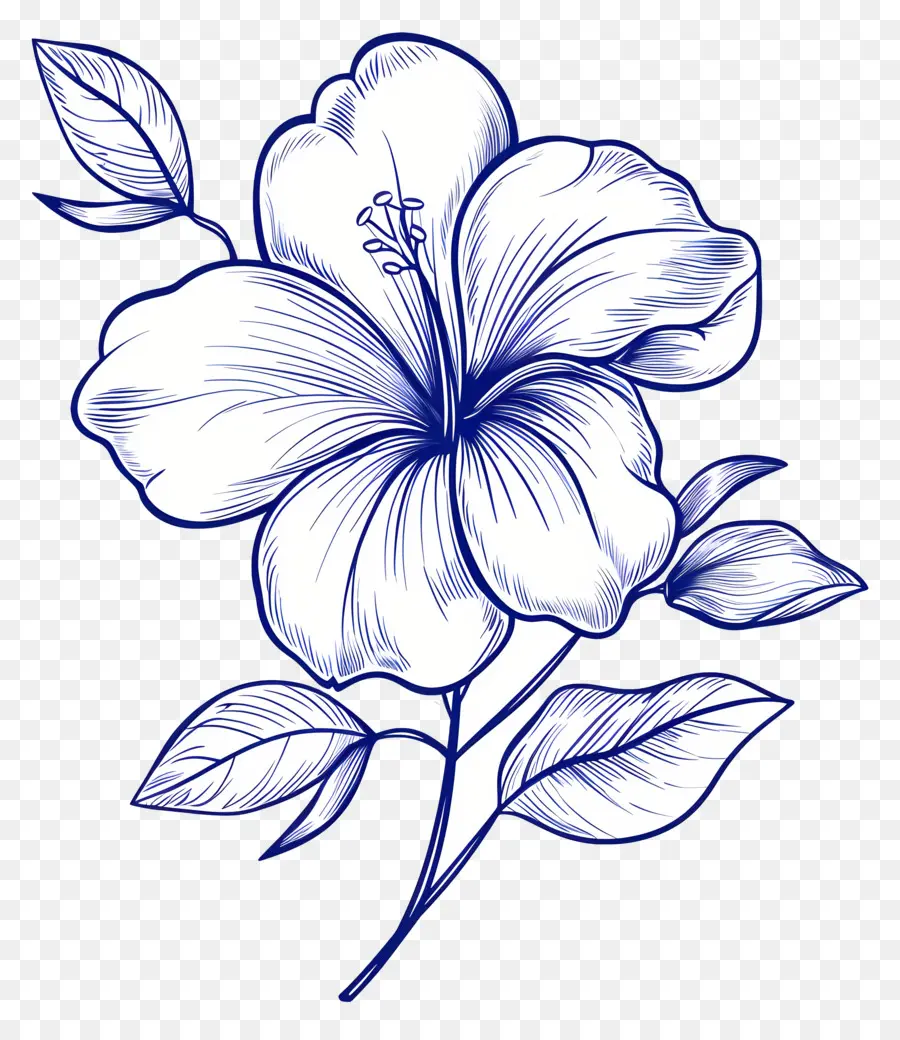 Flor，Arte De Línea PNG