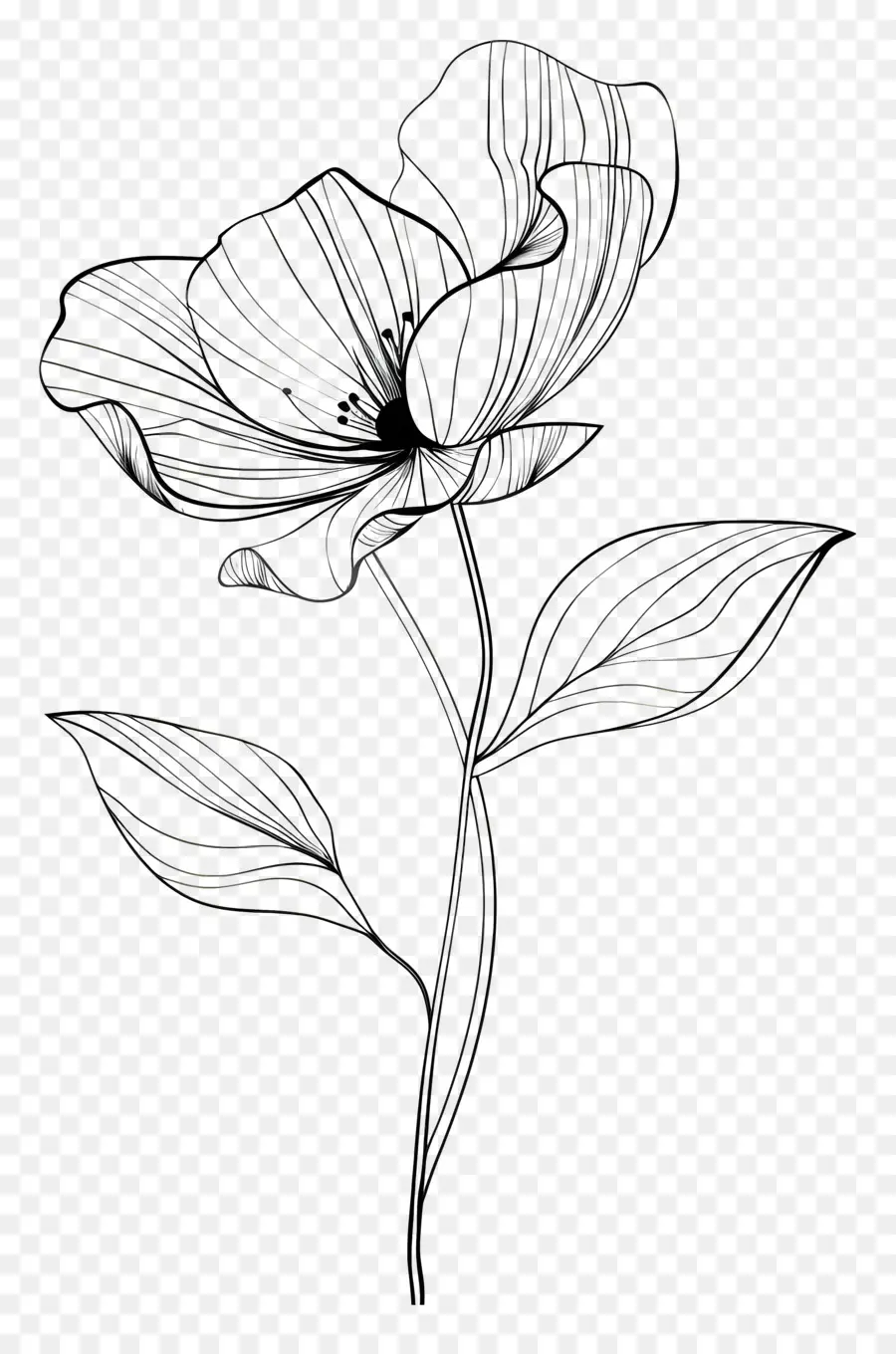 Flor，Arte Lineal PNG