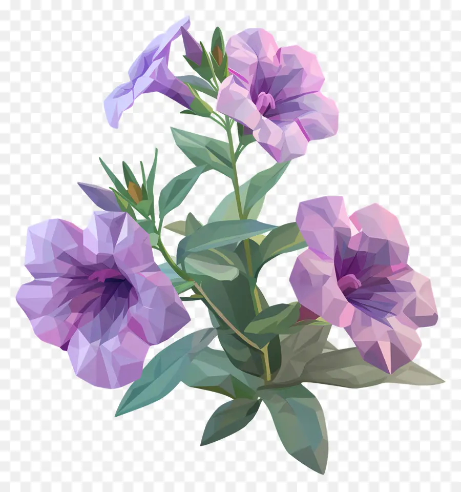 Digital De La Flor，Flores De Color Rosa PNG