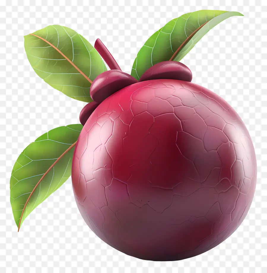 Mangostán，Frutos Rojos PNG