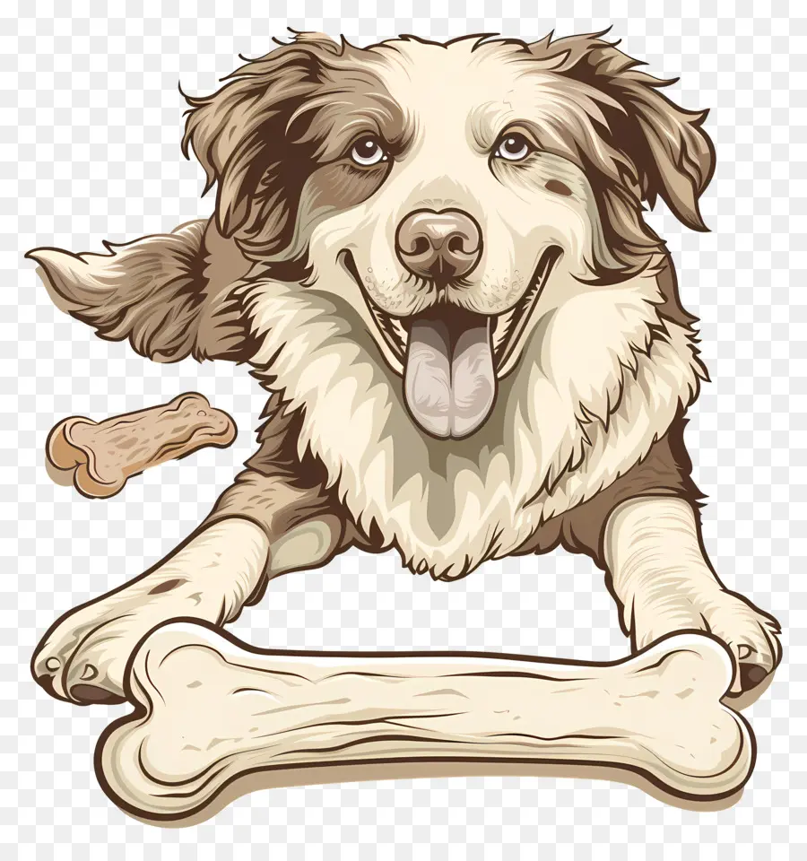 Hueso De Perro，Perro PNG