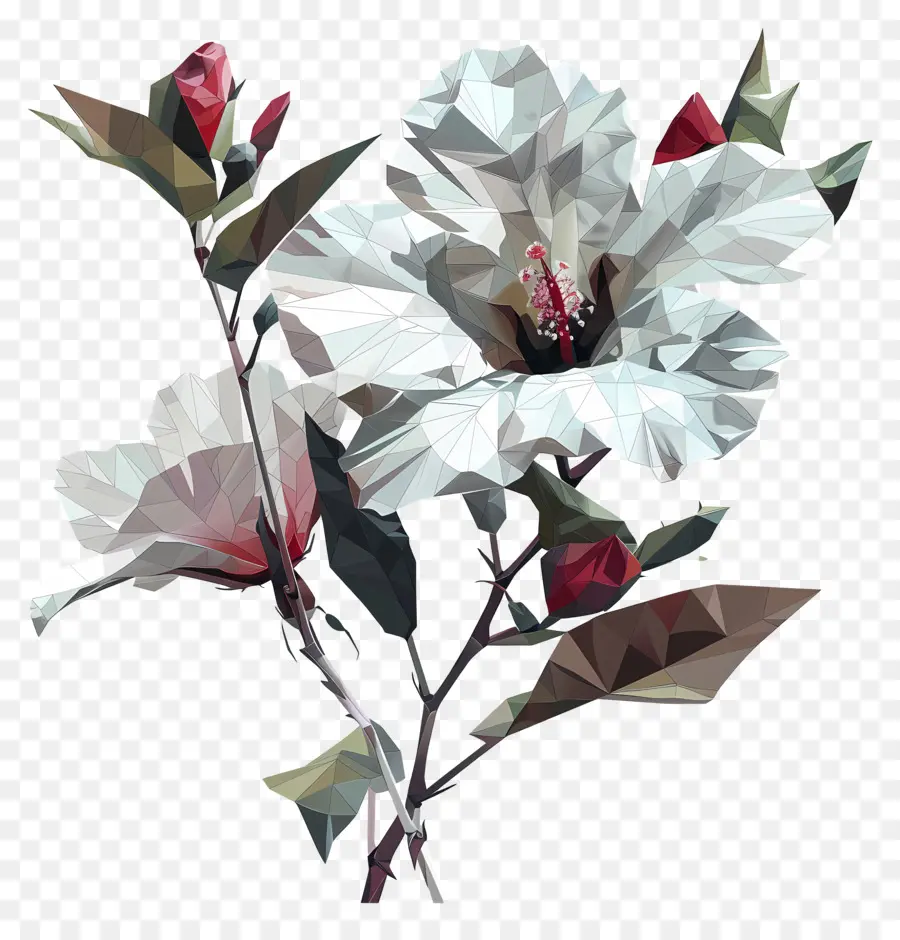 Arte Floral Digital，Flores Geométricas PNG