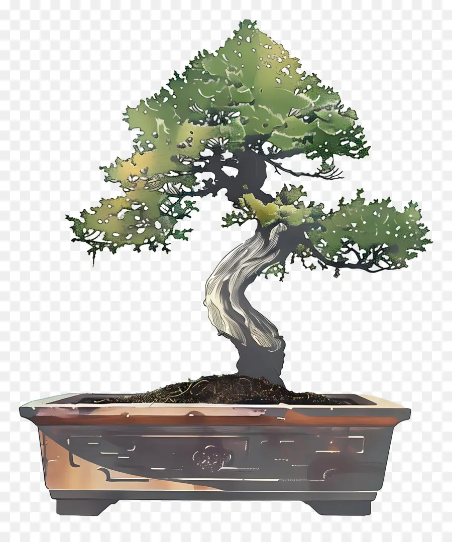 árbol De Los Bonsais，Tronco Torcedor PNG