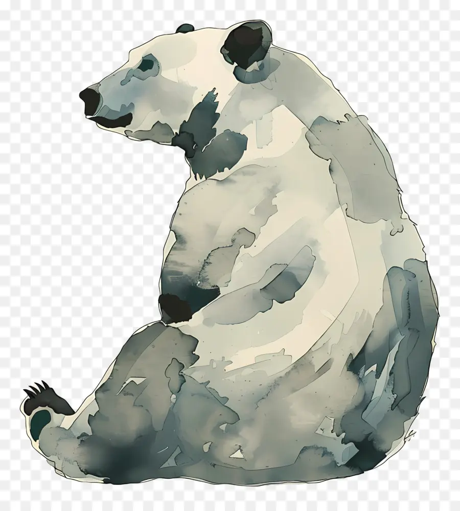 Oso，Oso Pardo PNG