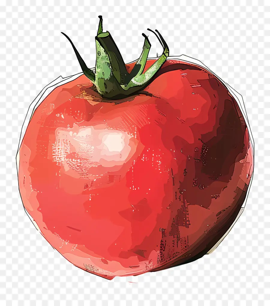Tomate，Ripe PNG