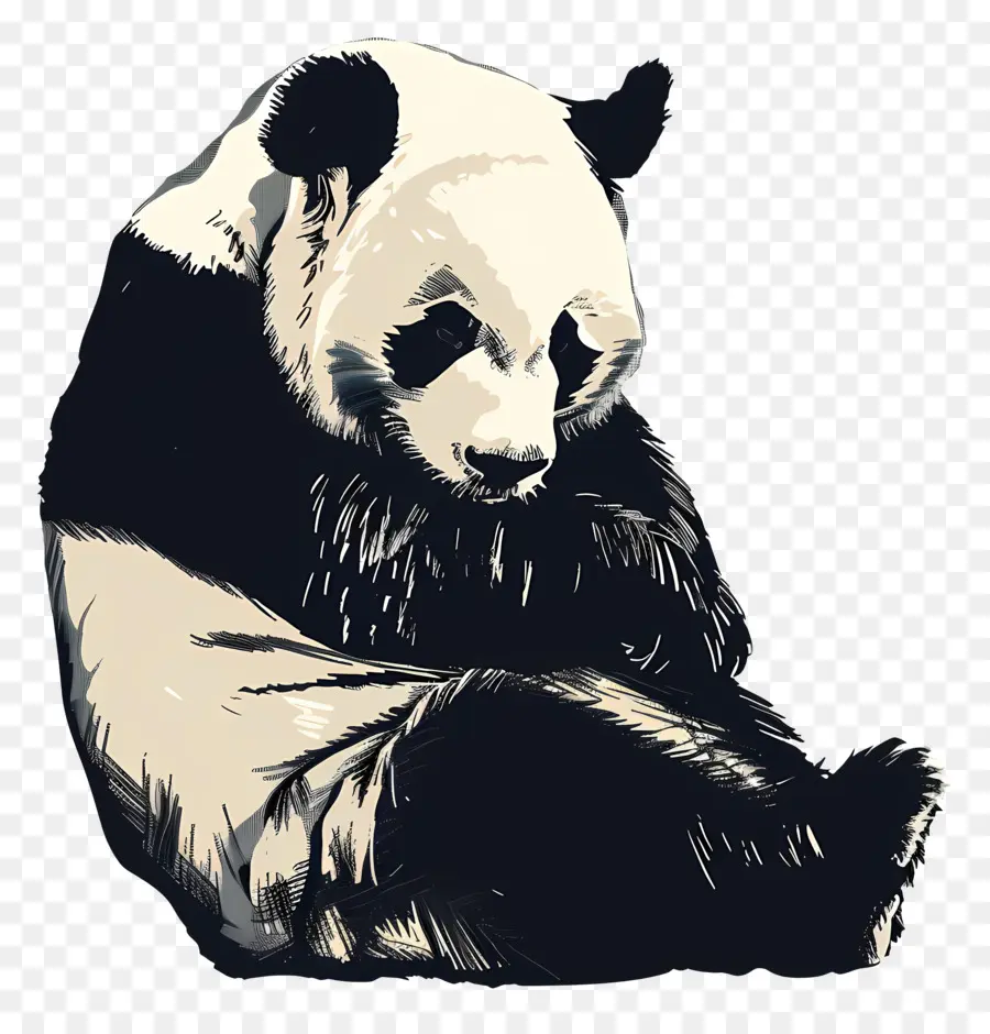 Panda，Oso Panda PNG