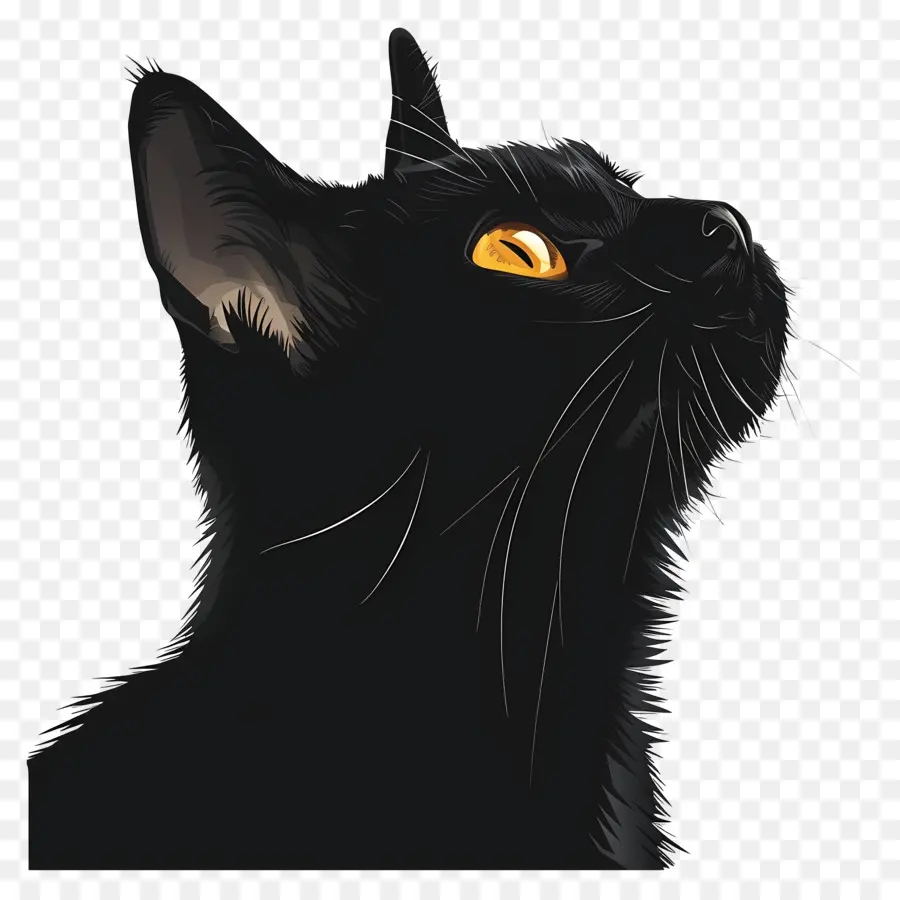 Gato Negro，Los Ojos Amarillos PNG