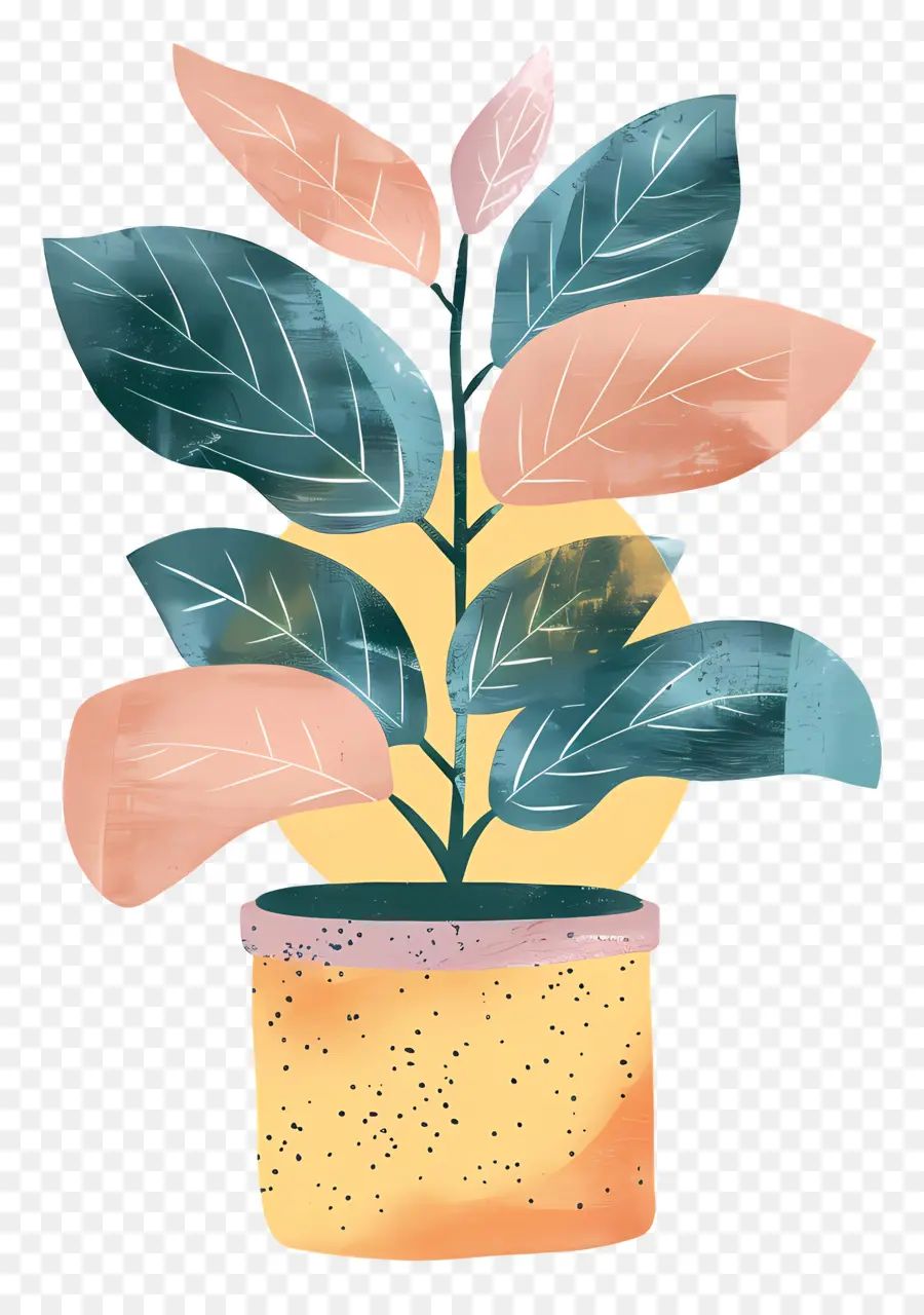 Planta En Maceta，Ilustración Acuarela PNG