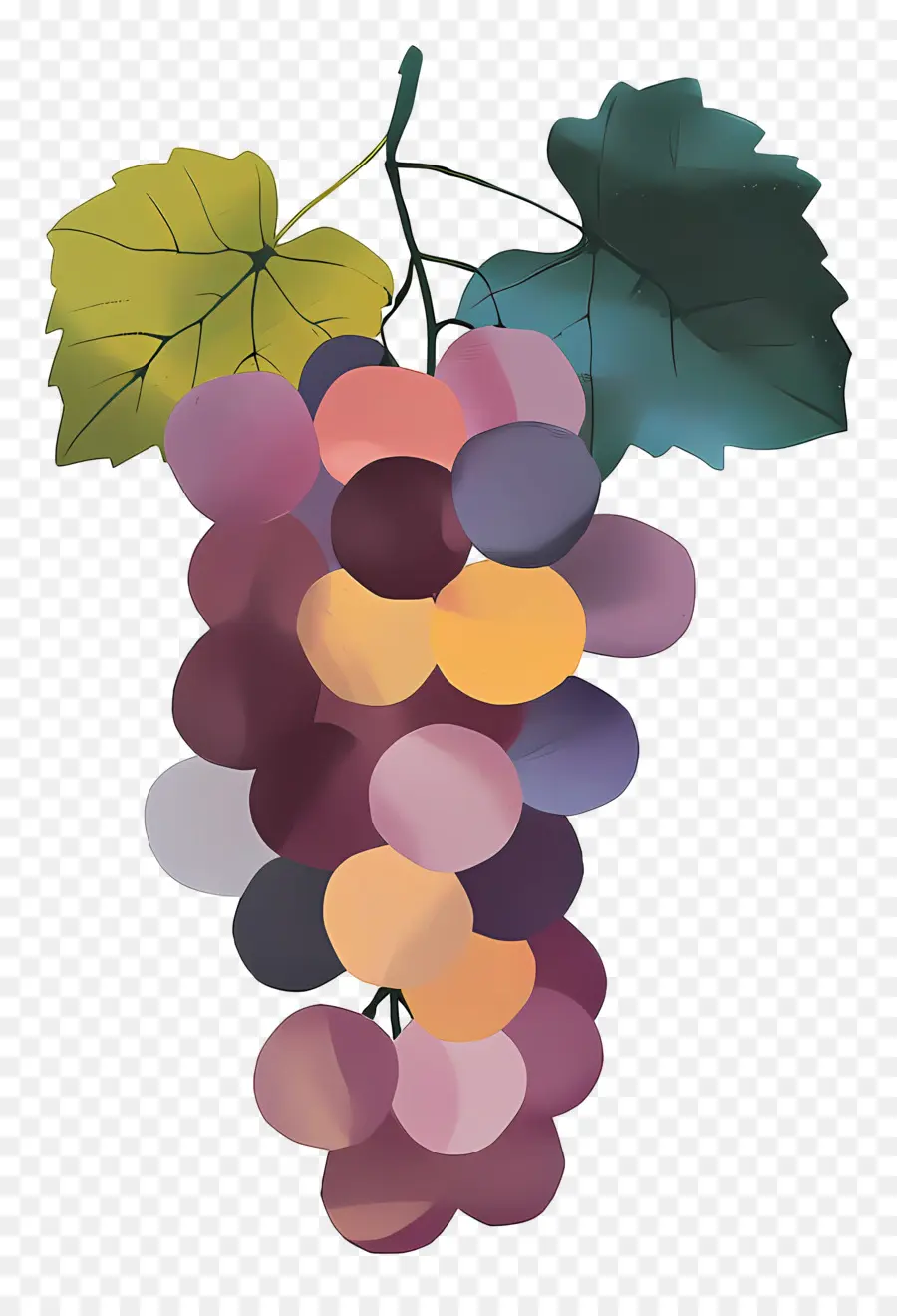 Uvas，Fruta PNG