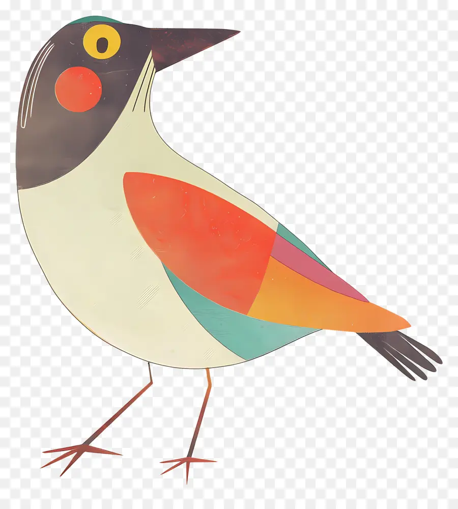 Pájaro，Plumas PNG