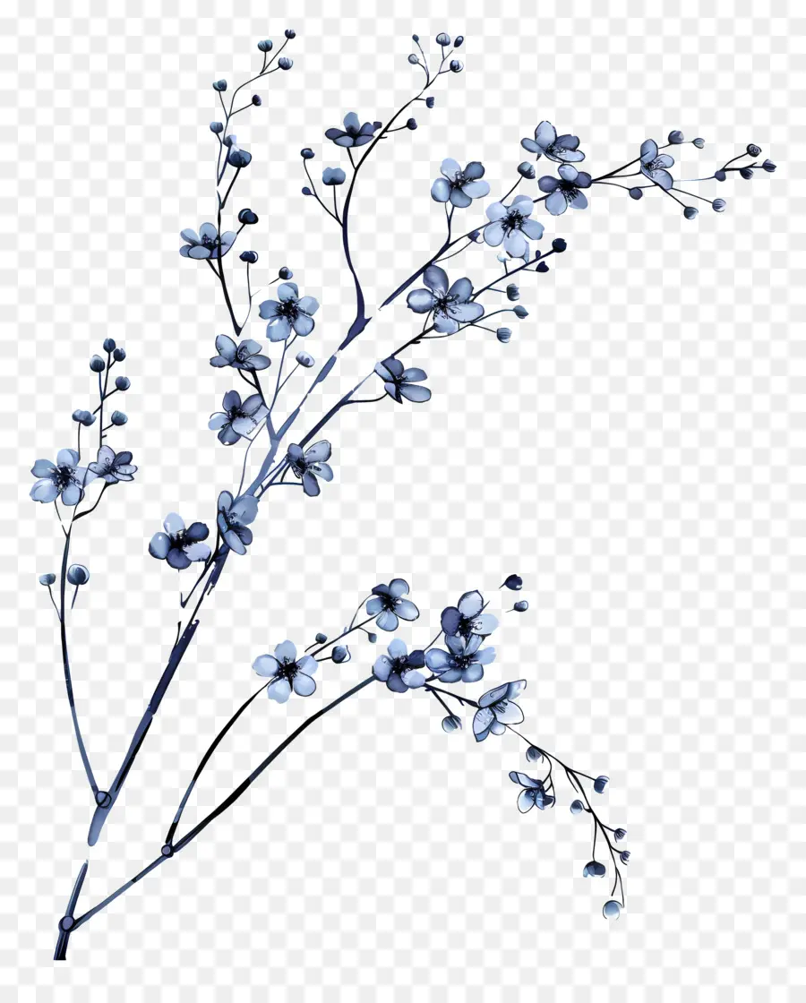 Flores De Color Azul，Sakura Flor PNG