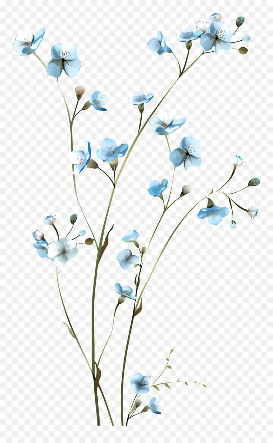 Flores De Color Azul，En Blanco Y Negro PNG