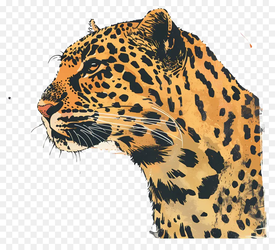 Leopardo，La Vida Silvestre PNG