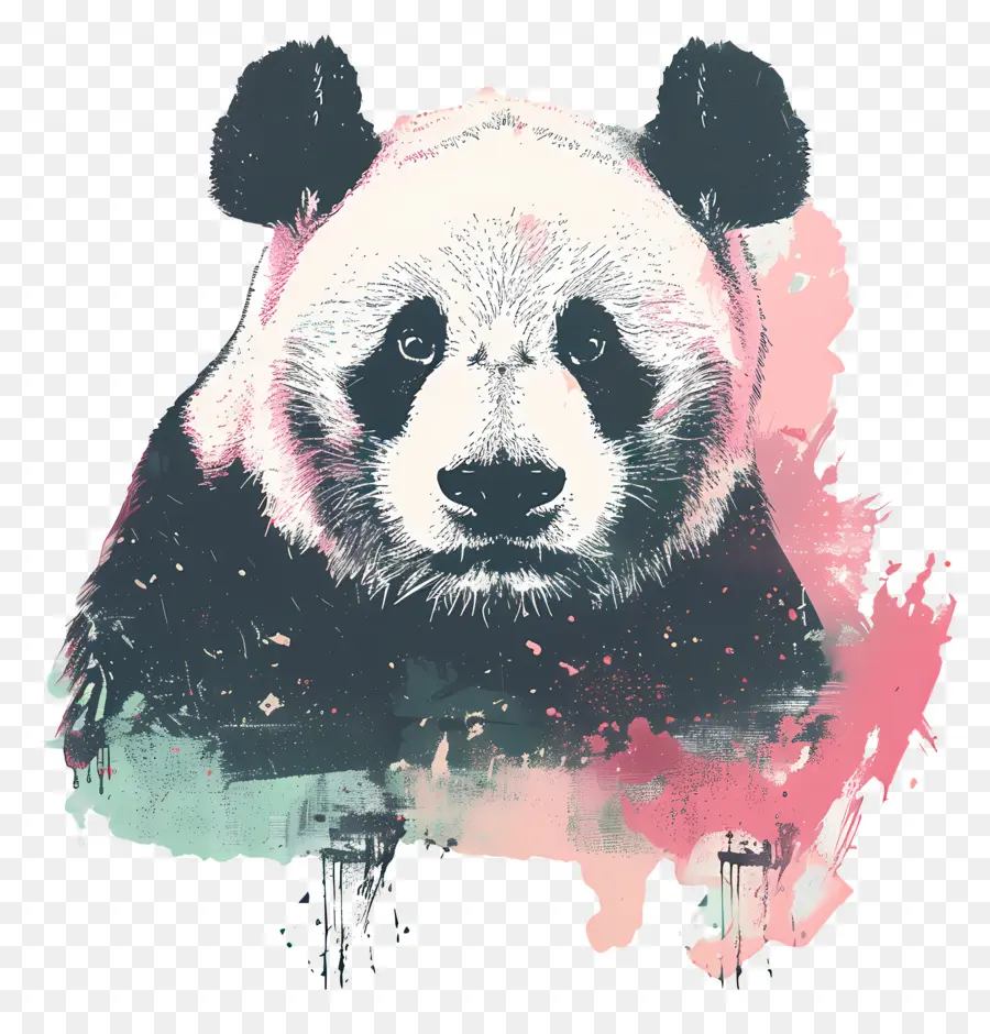 Panda，Oso Panda PNG