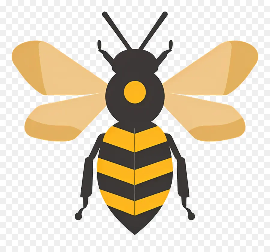 Simple，Abeja PNG