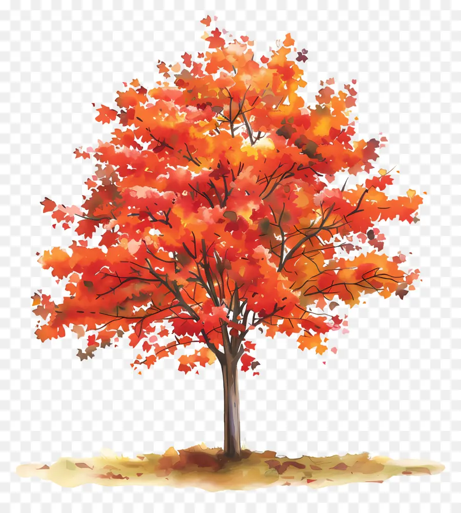 árbol De Arce，árbol De Otoño PNG