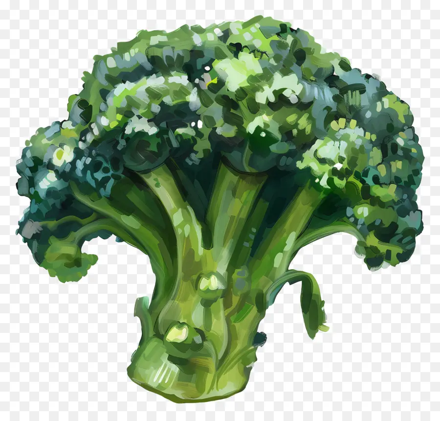 Brócoli，Fresco PNG
