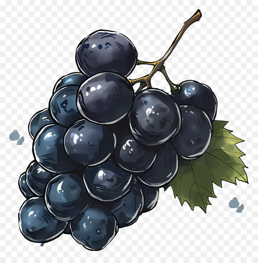 Uvas，Uvas Azules PNG