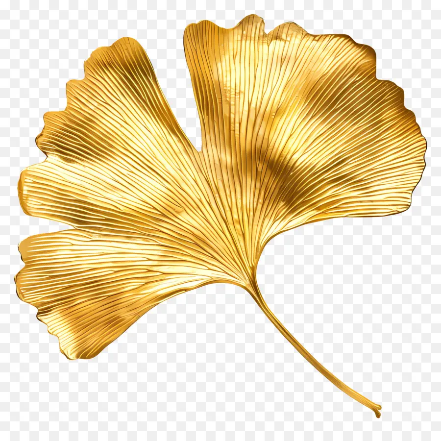 Gold Ginkgo Hoja，Golden Leaf PNG