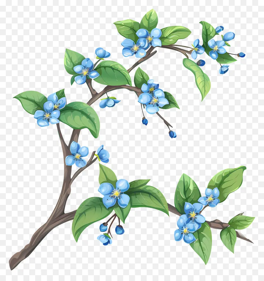 Flores De Color Azul，La Pequeña Rama PNG