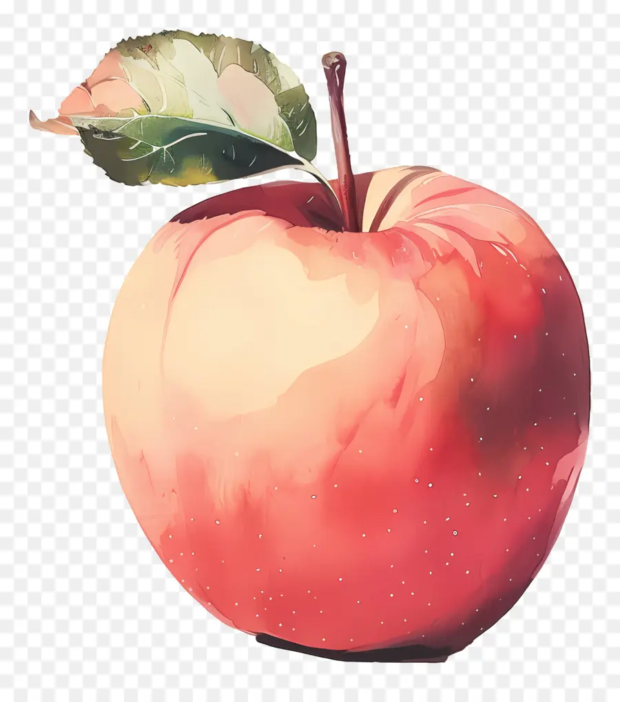 Apple，Manzana Madura PNG