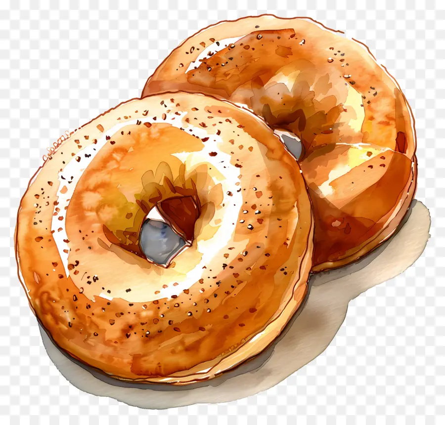 Bagels，Donuts PNG