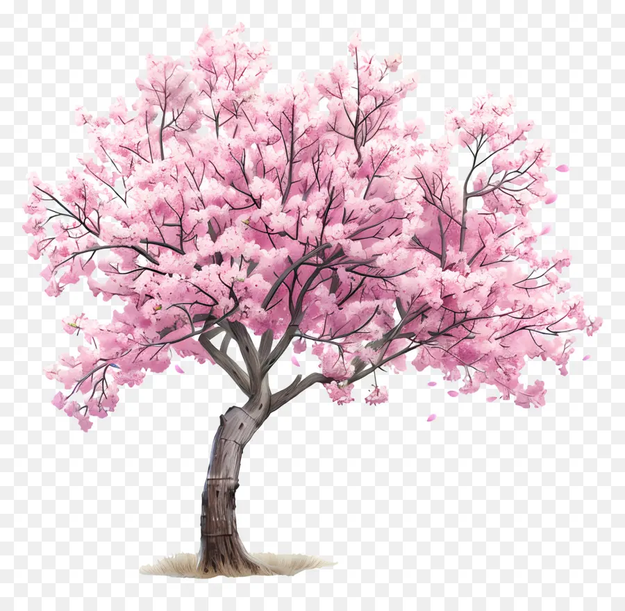 Flor Del árbol De，De Los Cerezos En Flor PNG