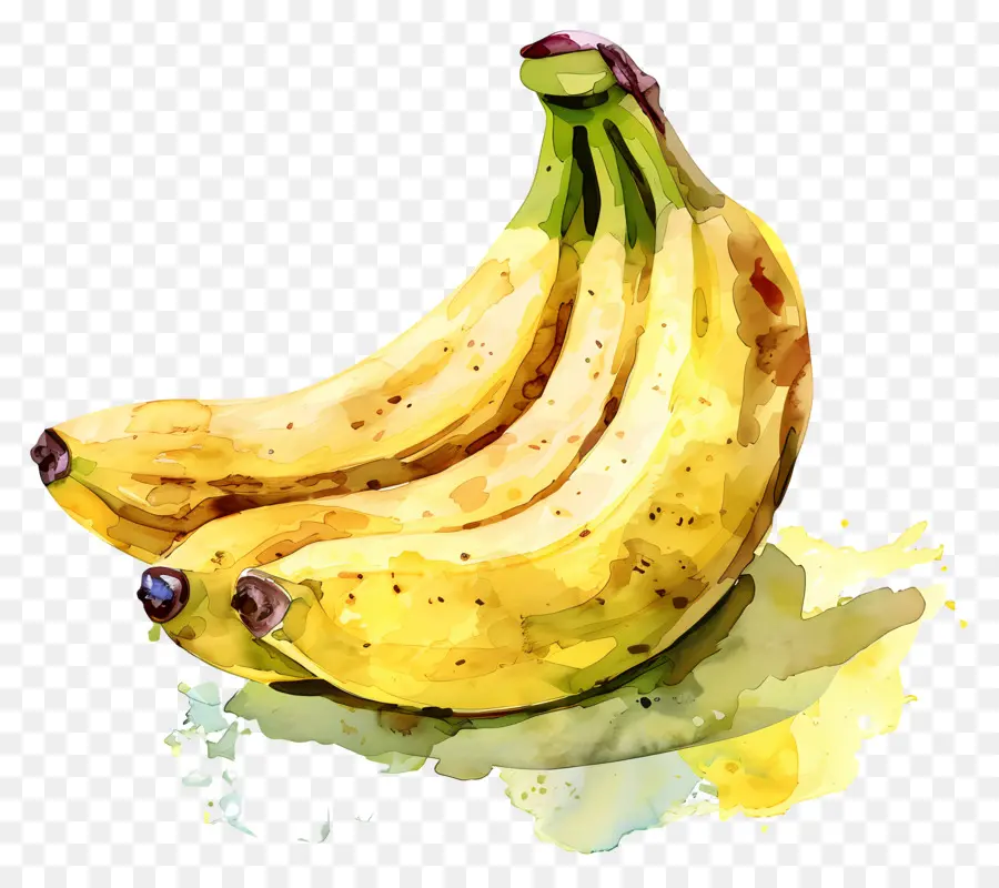 El Banano，Ripe PNG